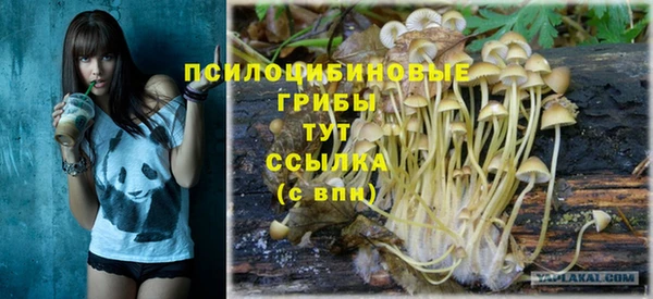 МДПВ Мегион