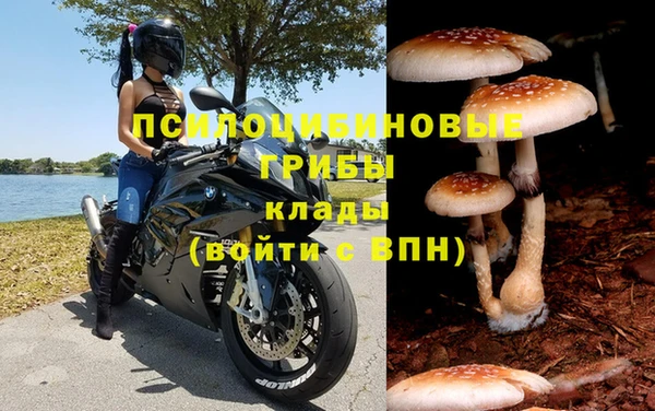 индика Алексеевка